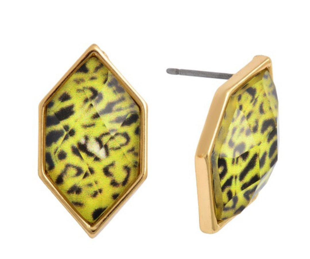 Animal Print Stud Earrings in Gold